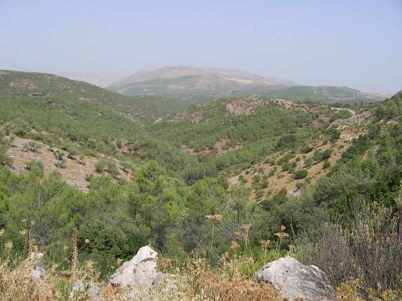 Spanje Estepona 151